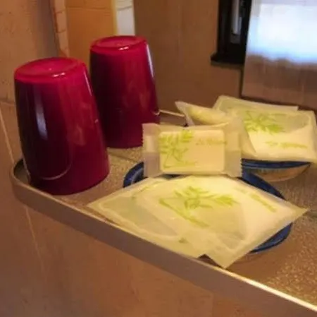Albi Otel 2*